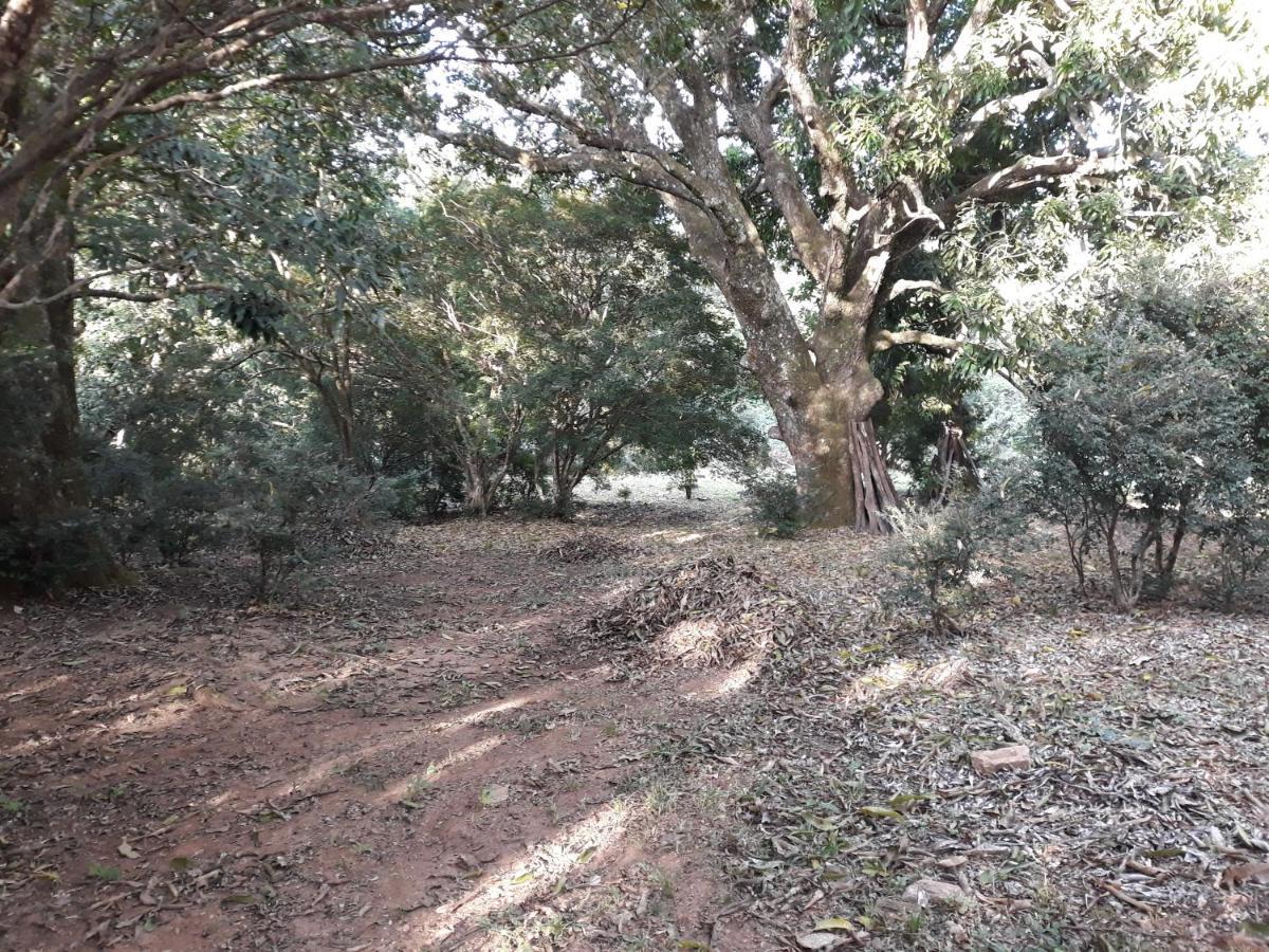 Pirenópolis Chale Veredas E Buritis מראה חיצוני תמונה