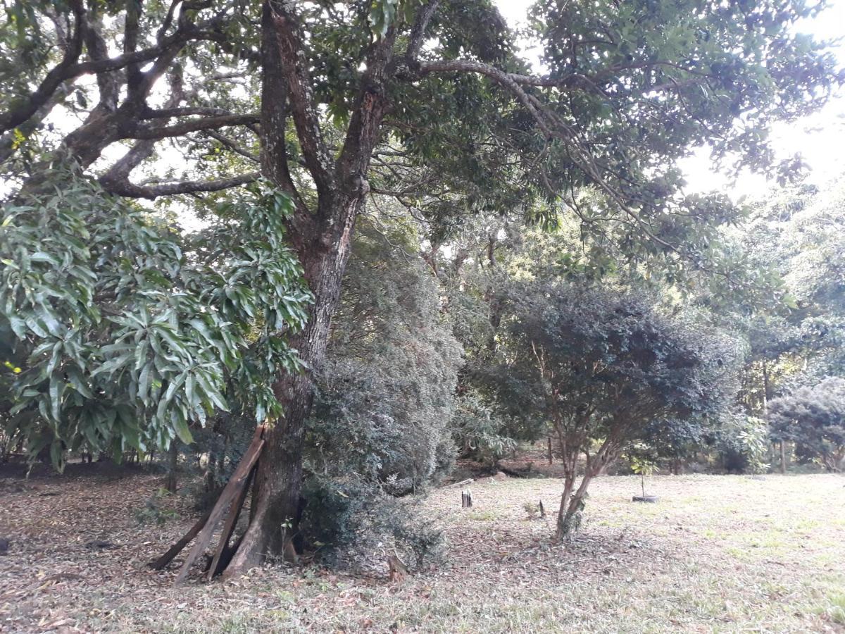 Pirenópolis Chale Veredas E Buritis מראה חיצוני תמונה